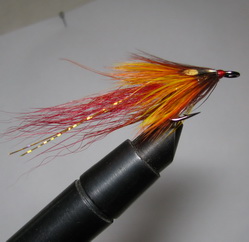 ���� �������� �� �������� Junglecock Shrimp Ally Red Orange Kumho �6